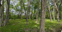 Homes for Sale in Kearney, MO 64060 | 804  Chisam Road