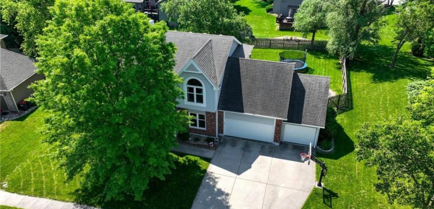 Homes for Sale in Kearney, MO 64060 | 1919  Meadowlane Avenue