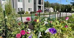 Homes for Sale in Kansas City, MO 64154 | 2651 NW Barry Road, Unit#301