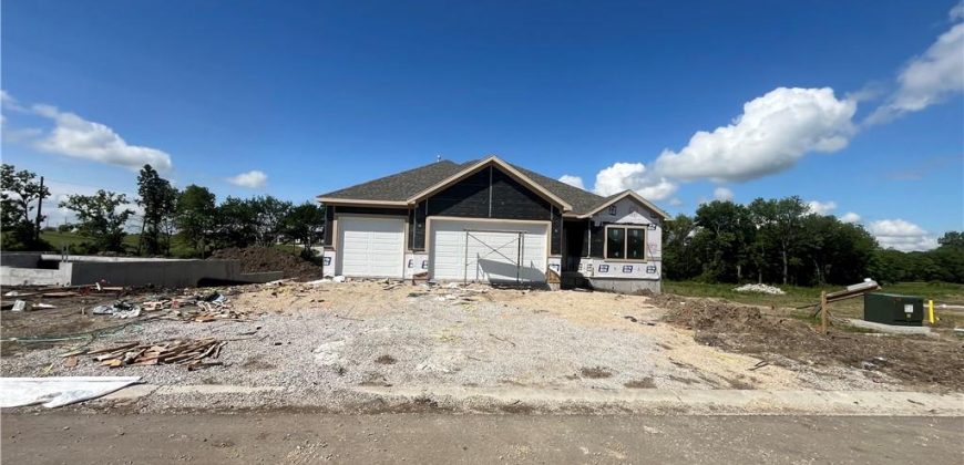 Homes for Sale in Lawson, MO 64062 | 462  Green Drive