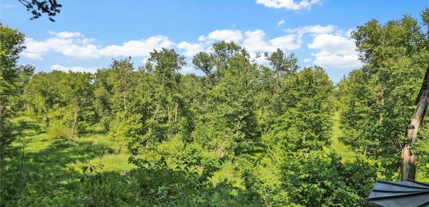 Homes for Sale in Camden Point, MO 64018 | 9170  E Highway
