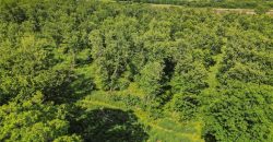 Homes for Sale in Camden Point, MO 64018 | 9170  E Highway