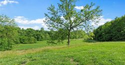 Homes for Sale in Camden Point, MO 64018 | 9170  E Highway
