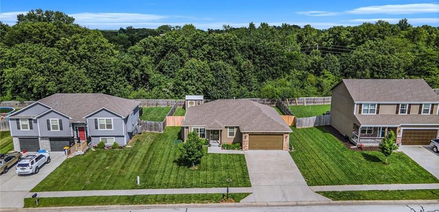 Homes for Sale in Smithville, MO 64089 | 19117 NE Switchgrass Drive