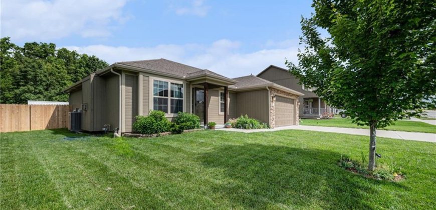Homes for Sale in Smithville, MO 64089 | 19117 NE Switchgrass Drive