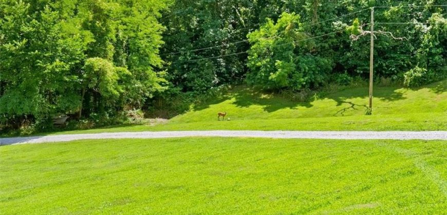 Homes for Sale in Platte City, MO 64079 | 11012  Platte River Road