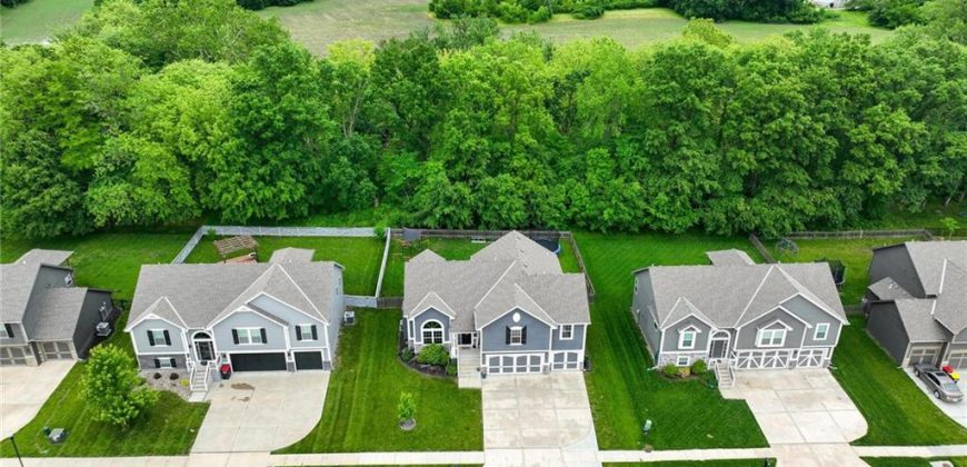 Homes for Sale in Kearney, MO 64060 | 1106 E 14th Street