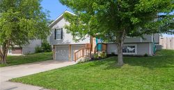 Homes for Sale in Kansas City, MO 64155 | 11231 N Madison Avenue