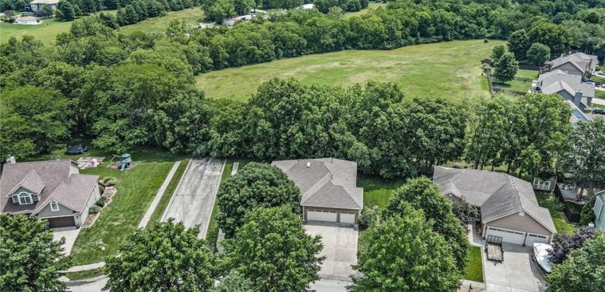 Homes for Sale in Smithville, MO 64089 | 13305  Forest Oaks Drive