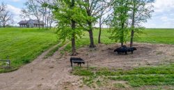 Homes for Sale in Weston, MO 64098 | 17625  Lober Road