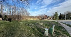 Homes for Sale in Parkville, MO 64152 | 6745 N National Drive