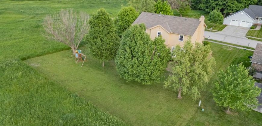 Homes for Sale in Smithville, MO 64089 | 206  Pine Street