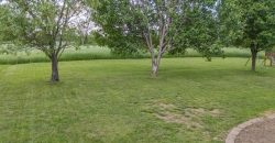 Homes for Sale in Smithville, MO 64089 | 206  Pine Street
