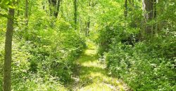 Homes for Sale in Liberty, MO 64068 | 2101  Hillview Road