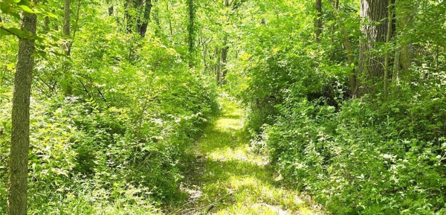 Homes for Sale in Liberty, MO 64068 | 2101  Hillview Road