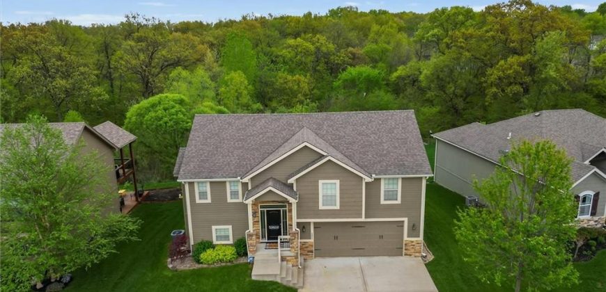 Homes for Sale in Kearney, MO 64060 | 1211  Clear Creek Drive