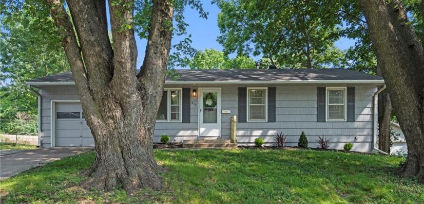 Homes for Sale in Liberty, MO 64068 | 819  REED Street