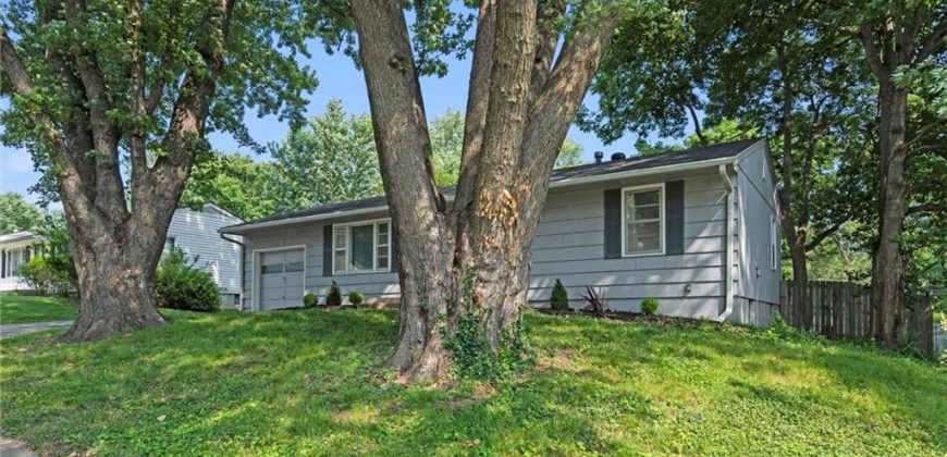 Homes for Sale in Liberty, MO 64068 | 819  REED Street