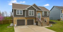 Homes for Sale in Kansas City, MO 64155 | 1009 NW 91st Terrace