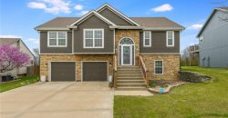 Homes for Sale in Kansas City, MO 64155 | 1009 NW 91st Terrace