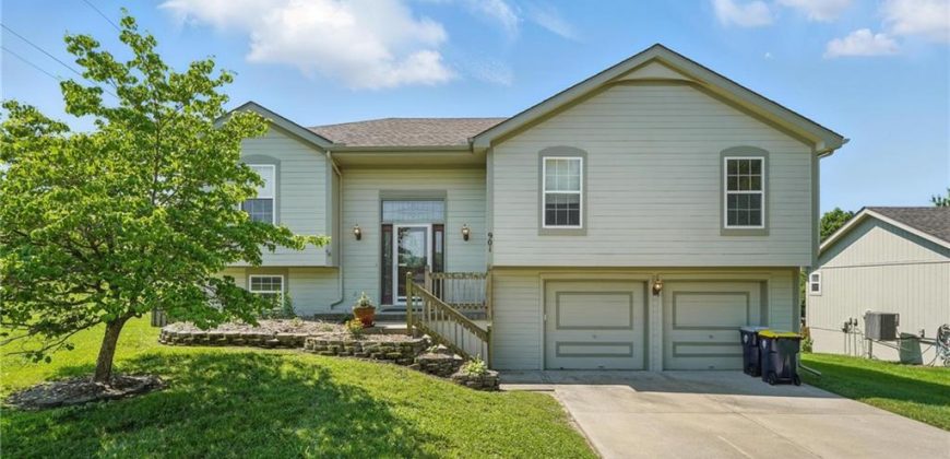 Homes for Sale in Kansas City, MO 64155 | 901 NE 116th Terrace