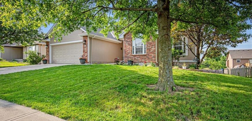 Homes for Sale in Kearney, MO 64060 | 905 W 8th Avenue