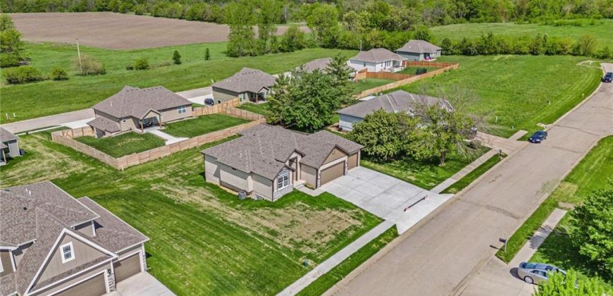 Homes for Sale in Excelsior Springs, MO 64024 | 12415  Morgan Street