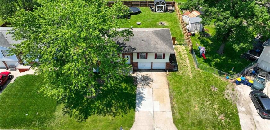 Homes for Sale in Excelsior Springs, MO 64024 | 1224  Michele Drive