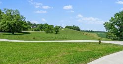 Homes for Sale in Holt, MO 64048 | 13723  Raliegh Lane