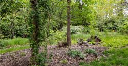 Homes for Sale in Kansas City, MO 64154 | 8755 N Chatham Avenue