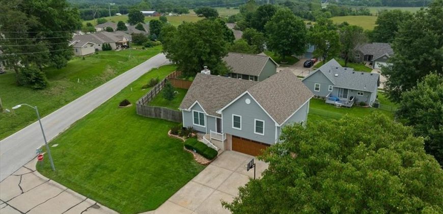 Homes for Sale in Smithville, MO 64089 | 101  Shasta Daisy Drive