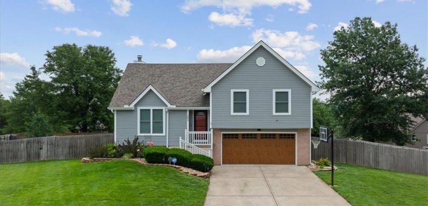 Homes for Sale in Smithville, MO 64089 | 101  Shasta Daisy Drive