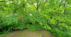 Homes for Sale in Kansas City, MO 64151 | 6804 NW Mokane Avenue