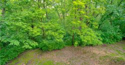 Homes for Sale in Kansas City, MO 64151 | 6804 NW Mokane Avenue