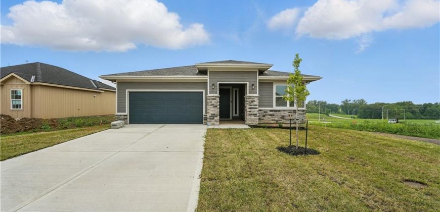 Homes for Sale in Kansas City, MO 64155 | 1701 NW 104th Terrace