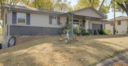 Homes for Sale in Excelsior Springs, MO 64024 | 1101  WILLIAMS Street