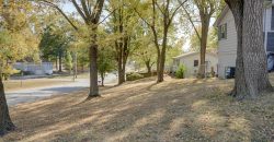 Homes for Sale in Excelsior Springs, MO 64024 | 1101  WILLIAMS Street