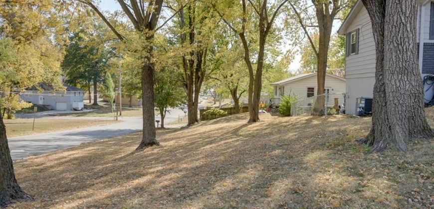 Homes for Sale in Excelsior Springs, MO 64024 | 1101  WILLIAMS Street