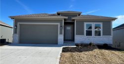 Homes for Sale in Kansas City, MO 64154 | 2201 NW 94th Street