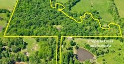 Homes for Sale in Liberty, MO 64068 | 10401 NE 124th Street
