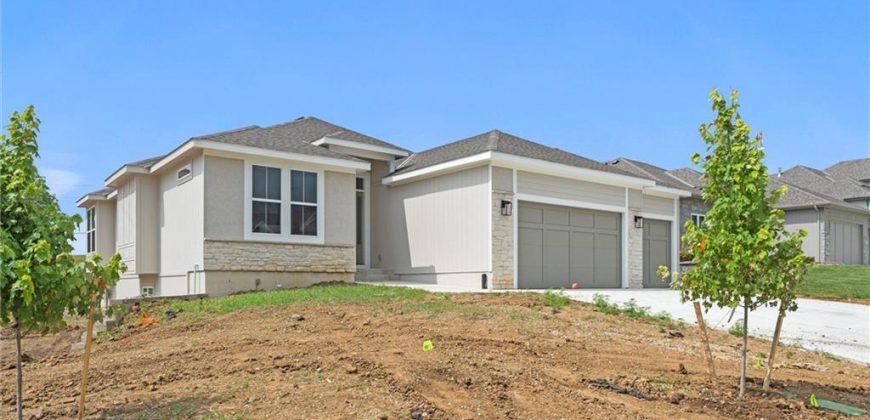 Homes for Sale in Kansas City, MO 64157 | 9845  104th Street