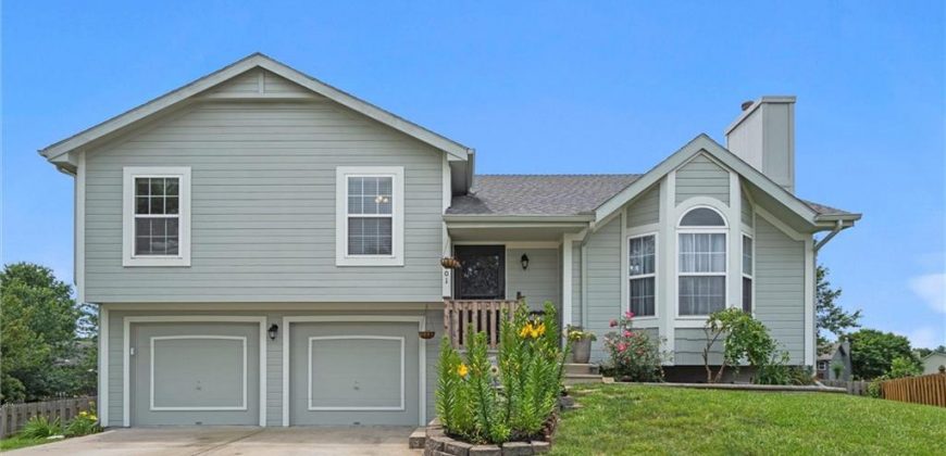 Homes for Sale in Kansas City, MO 64157 | 8801 NE 116th Street