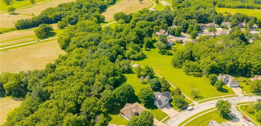 Homes for Sale in Smithville, MO 64089 | 503  Amesbury Drive