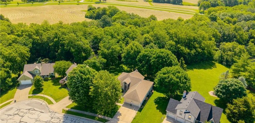 Homes for Sale in Smithville, MO 64089 | 503  Amesbury Drive