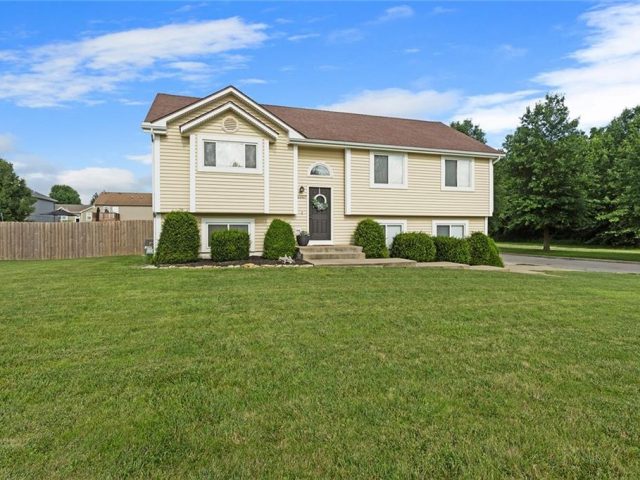 Homes for Sale in Kansas City, MO 64157 | 11427 N STARK Avenue