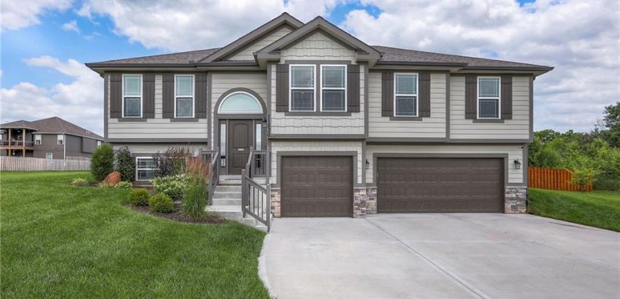 Homes for Sale in Kansas City, MO 64157 | 11830 N MANNING Avenue
