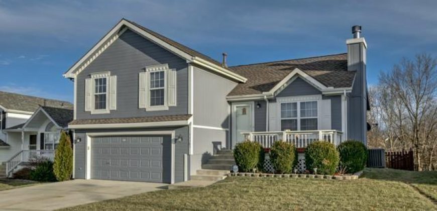 Homes for Sale in Kansas City, MO 64157 | 11303 N Ditman Avenue