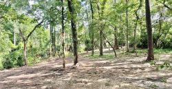 Homes for Sale in Kansas City, MO 64119 | 5633 NE 49th Street