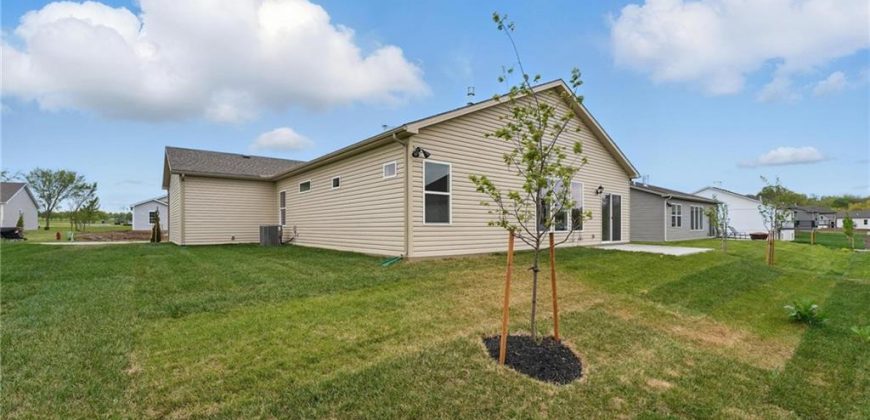 Homes for Sale in Kansas City, MO 64154 | 3012 NW 95th Terrace