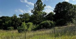 Homes for Sale in Weston, MO 64098 | 23175  Woodruff Road